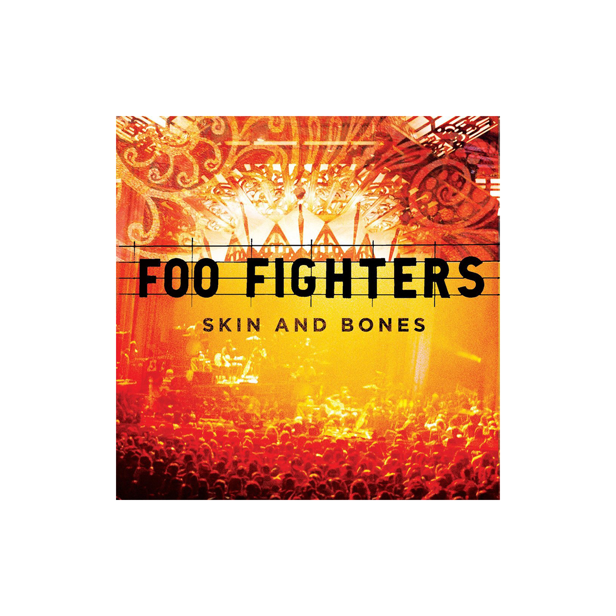 Skin & Bones Vinyl-Foo Fighters UK Store